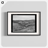 Untitled photo, possibly related to: Upper end of Squaw Creek Valley near the mill, showing part of the timber resources. Ola self-help sawmill co-op. Gem County, Idaho. General caption 48 - Dorothea Lange Poster.