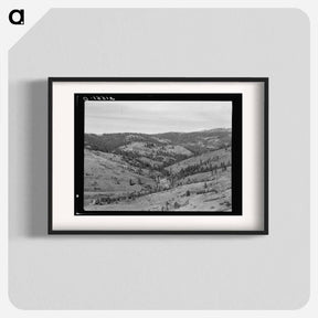 アートポスター-Untitled photo, possibly related to: Upper end of Squaw Creek Valley near the mill, showing part of the timber resources. Ola self-help sawmill co-op. Gem County, Idaho. General caption 48 - ドロテア ラング Poster.