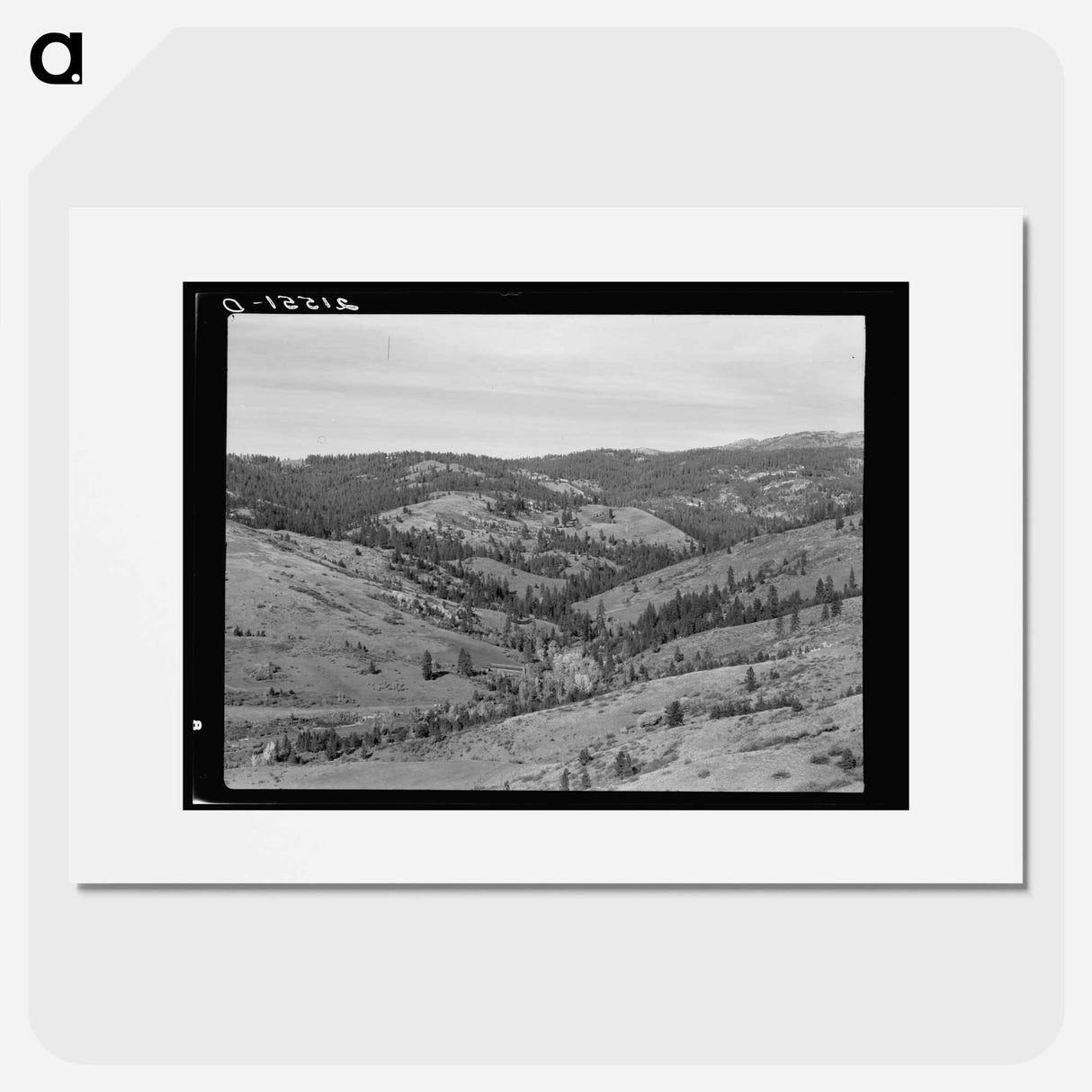 Untitled photo, possibly related to: Upper end of Squaw Creek Valley near the mill, showing part of the timber resources. Ola self-help sawmill co-op. Gem County, Idaho. General caption 48 - ドロテア ラング Poster.