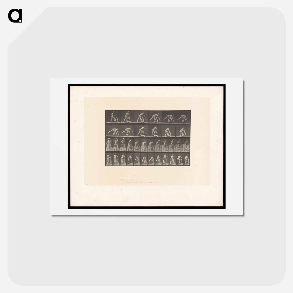 アートポストカード-Picking Up a Pot
 - エドワード マイブリッジ Postcard.