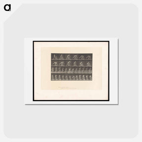 アートポストカード-Picking Up a Pot
 - エドワード マイブリッジ Postcard.