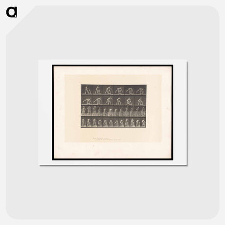 アートポストカード-Picking Up a Pot
 - エドワード マイブリッジ Postcard.