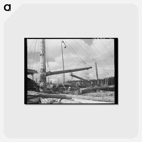 アートポストカード-Yarding Logs
 - ラッセル リー Postcard.