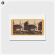 アートポストカード-Truckee River, near the Third Crossing
 - エドワード マイブリッジ Postcard.