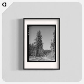 アートポスター-Clatsop County, Oregon
 - ラッセル リー Poster.