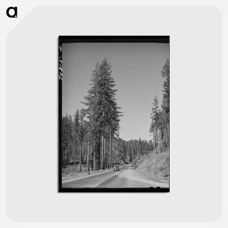 アートポストカード-Clatsop County, Oregon
 - ラッセル リー Postcard.