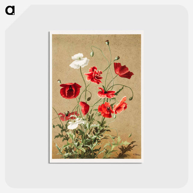 アートポストカード-Poppies no 3
 - ボストン公共図書館 Postcard.