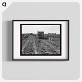 Near Meloland, Imperial Valley - Dorothea Lange Poster.