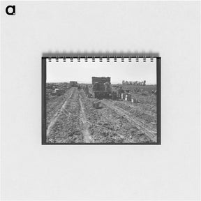 アートメモ帳-Near Meloland, Imperial Valley - ドロテア ラング Memo.