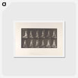 アートポストカード-Mother and Child
 - エドワード マイブリッジ Postcard.