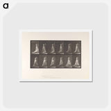 アートポストカード-Mother and Child
 - エドワード マイブリッジ Postcard.
