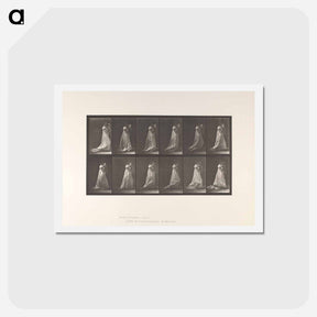 アートポストカード-Mother and Child
 - エドワード マイブリッジ Postcard.