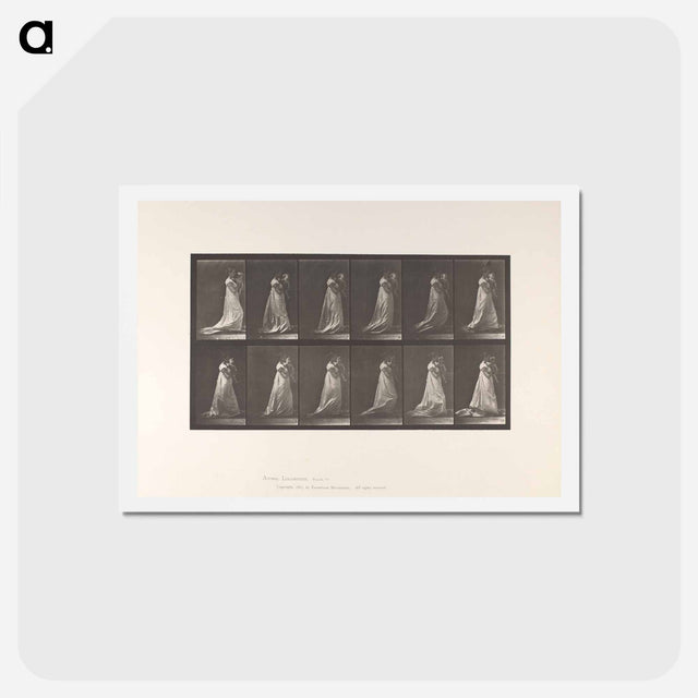 アートポストカード-Mother and Child
 - エドワード マイブリッジ Postcard.