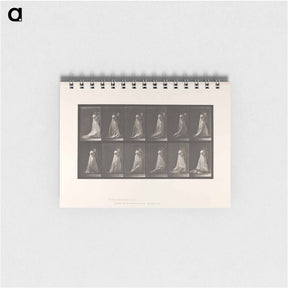アートメモ帳-Mother and Child
 - エドワード マイブリッジ Memo.