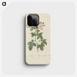 Rose illustration - Pierre Joseph Redouté Phone Case.