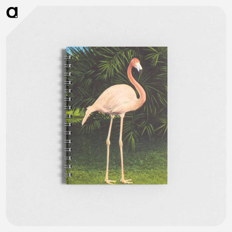 アートメモ帳-Coral Flamingo
 - ボストン公共図書館 Memo.