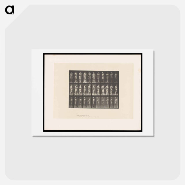 アートポストカード-Man with Rifle
 - エドワード マイブリッジ Postcard.