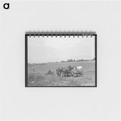 アートメモ帳-Farmer's Wife at Her Sewing Machine
 - ラッセル リー Memo.