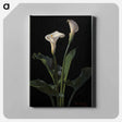 アートパネル-Calla Lilies
 - ボストン公共図書館 Canvas.