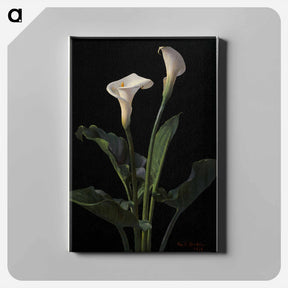 アートパネル-Calla Lilies
 - ボストン公共図書館 Canvas.
