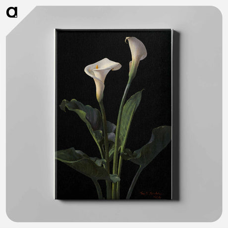 アートパネル-Calla Lilies
 - ボストン公共図書館 Canvas.