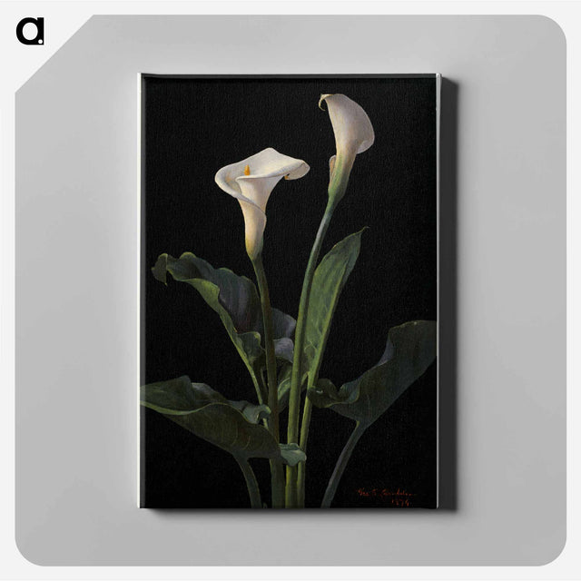 アートパネル-Calla Lilies
 - ボストン公共図書館 Canvas.