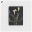 アートメモ帳-Calla Lilies
 - ボストン公共図書館 Memo.