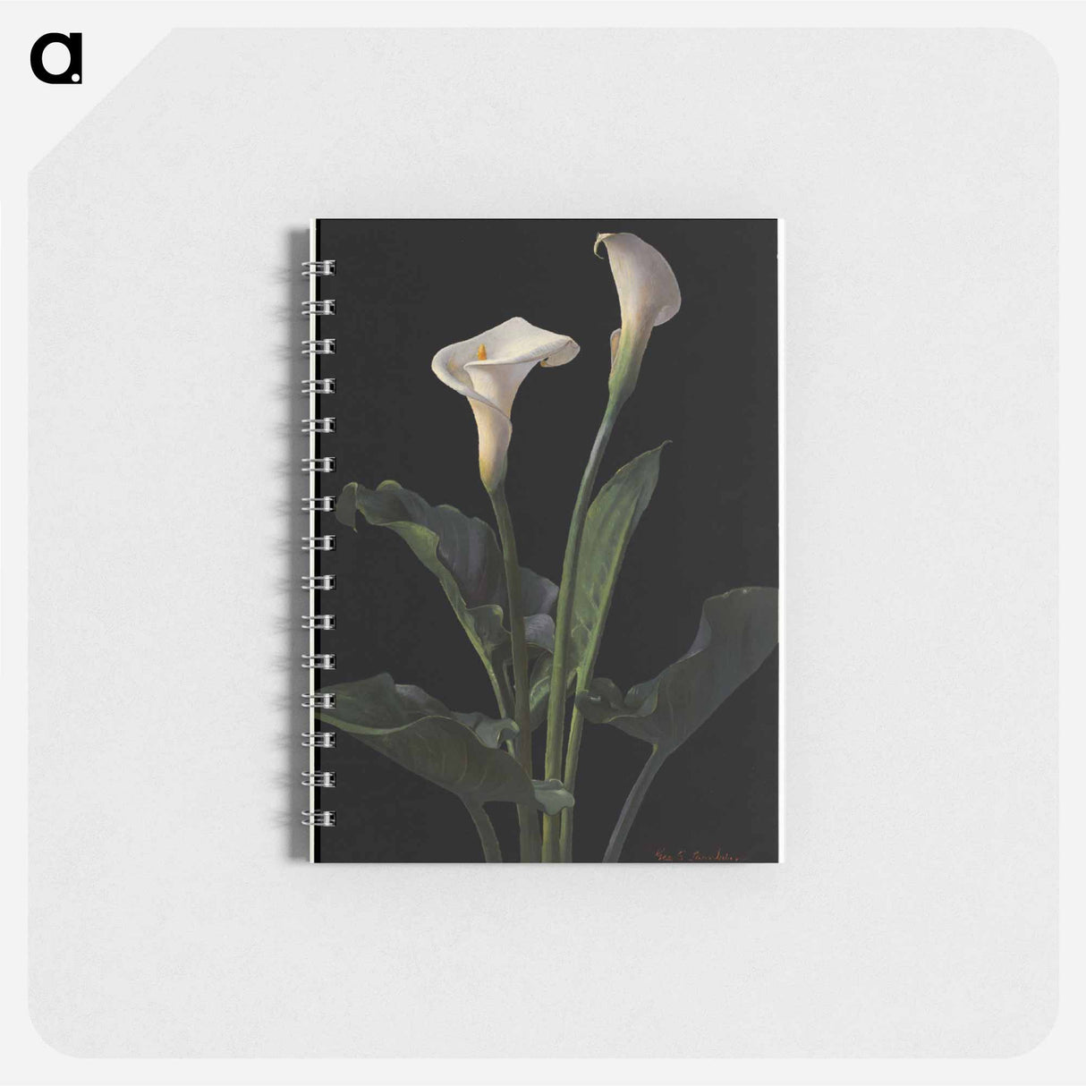 アートメモ帳-Calla Lilies
 - ボストン公共図書館 Memo.