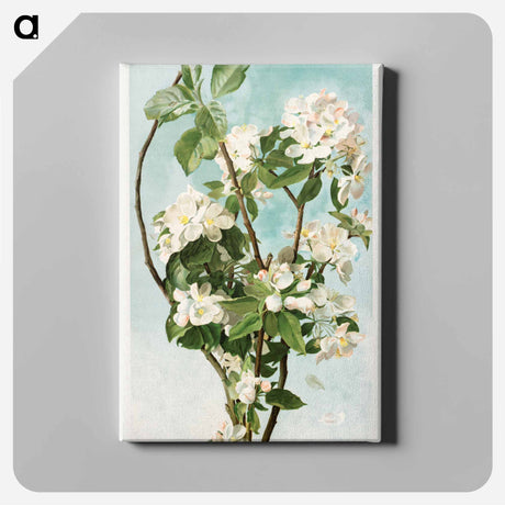 アートパネル-Apple Blossoms
 - ボストン公共図書館 Canvas.