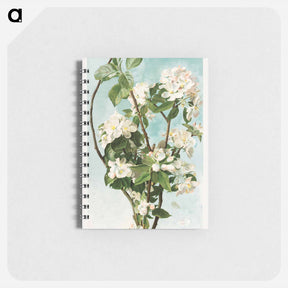 アートメモ帳-Apple Blossoms
 - ボストン公共図書館 Memo.