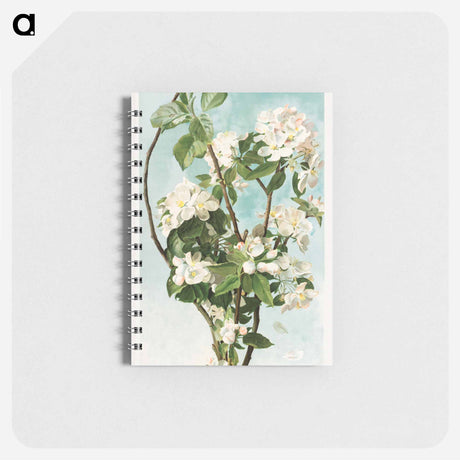 アートメモ帳-Apple Blossoms
 - ボストン公共図書館 Memo.