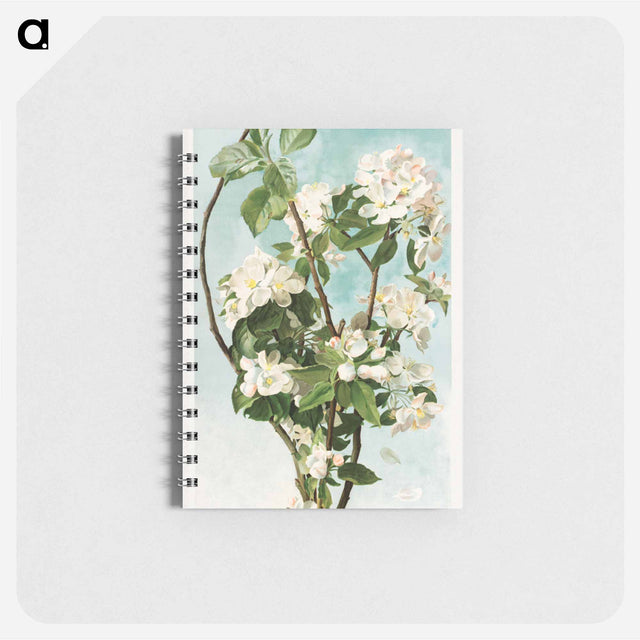 アートメモ帳-Apple Blossoms
 - ボストン公共図書館 Memo.