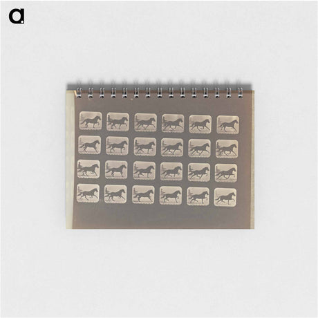 アートメモ帳-Racking (Pacing)
 - エドワード マイブリッジ Memo.