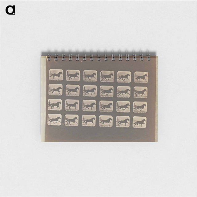 アートメモ帳-Racking (Pacing)
 - エドワード マイブリッジ Memo.