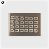 アートポストカード-Racking (Pacing)
 - エドワード マイブリッジ Postcard.