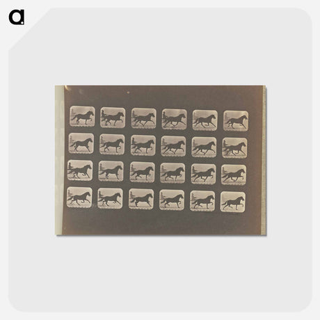 アートポストカード-Racking (Pacing)
 - エドワード マイブリッジ Postcard.