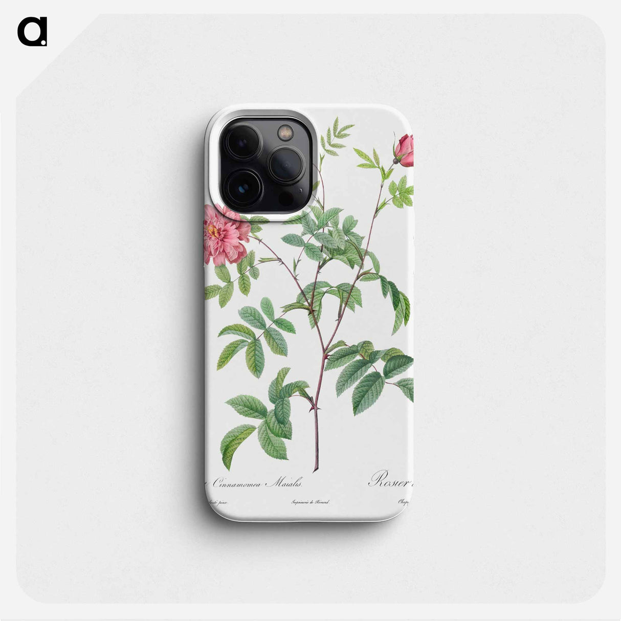 Cinnamon Rose - ピエール ジョゼフ ルドゥーテ Phone Case.