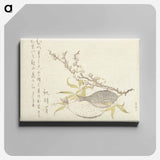 Hokusai's Plum Branch - 葛飾 北斎 Canvas.