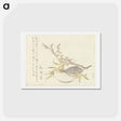 アートポストカード-Hokusai's Plum Branch - 葛飾 北斎 Postcard.
