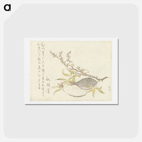アートポストカード-Hokusai's Plum Branch - 葛飾 北斎 Postcard.