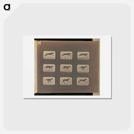 アートポストカード-Running
 - エドワード マイブリッジ Postcard.