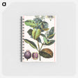 アートメモ帳-Pimento, Myrtus Pimenta
 - ボストン公共図書館 Memo.