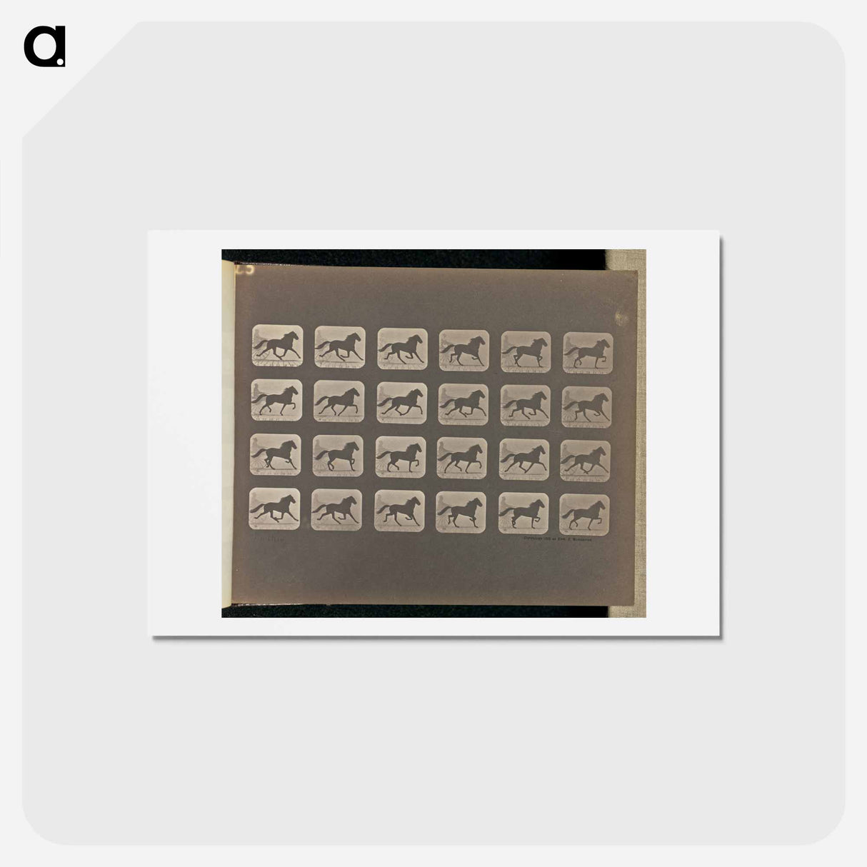 アートポストカード-Trotting
 - エドワード マイブリッジ Postcard.