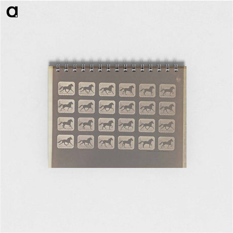 アートメモ帳-Trotting
 - エドワード マイブリッジ Memo.
