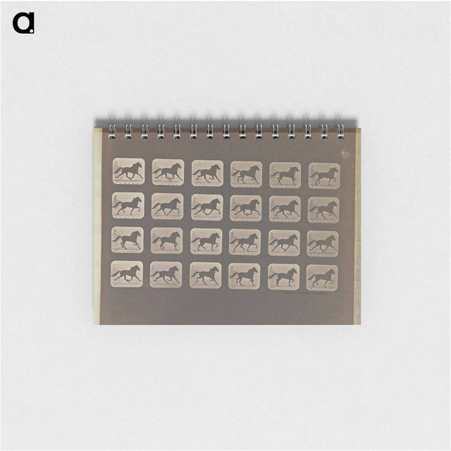 アートメモ帳-Trotting
 - エドワード マイブリッジ Memo.