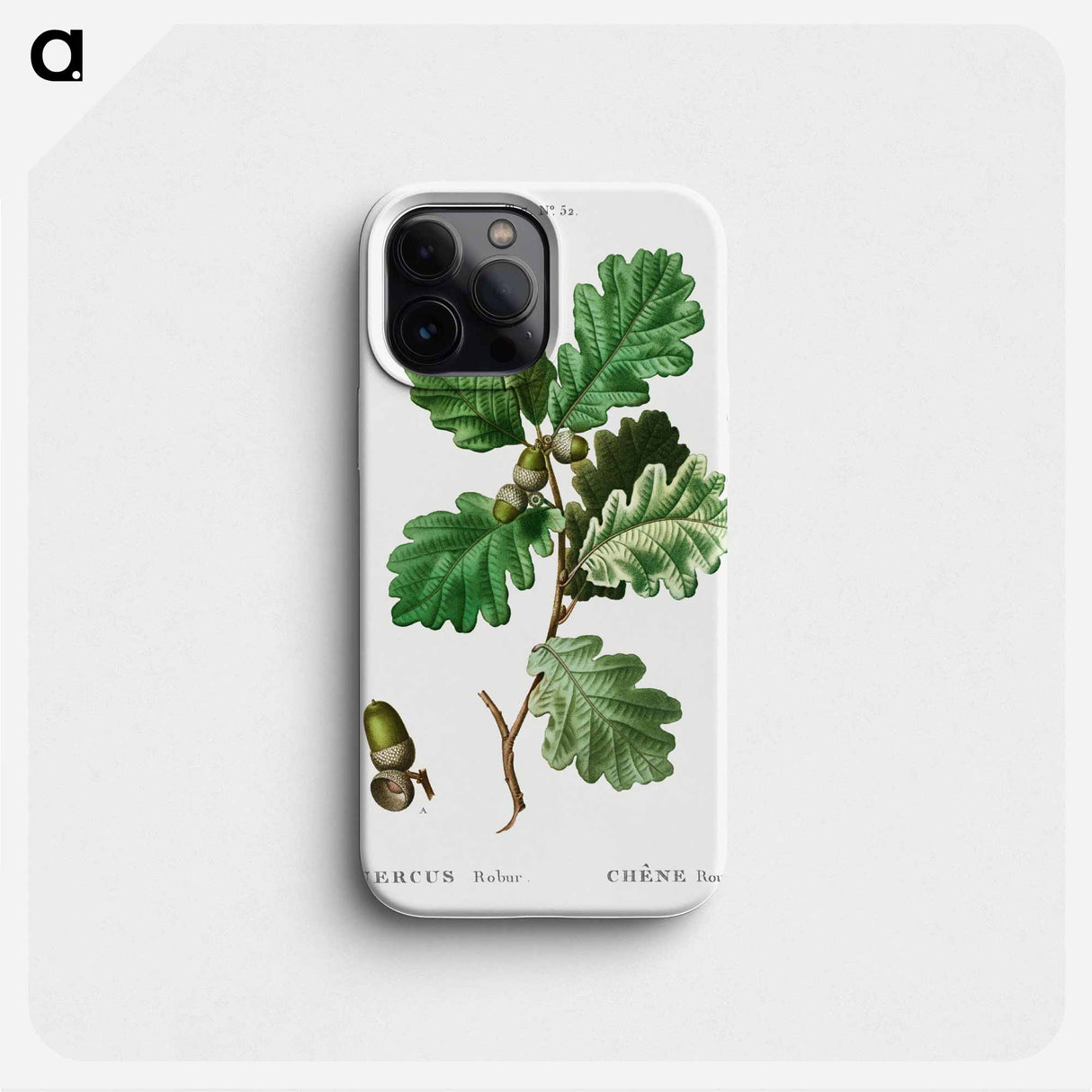 European oak (black) - Pierre Joseph Redouté Phone Case.