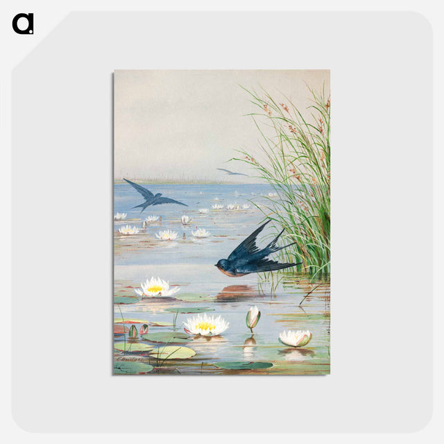 アートポストカード-January
 - ボストン公共図書館 Postcard.