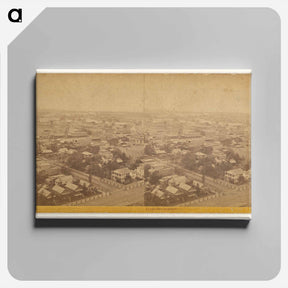 アートパネル-Sacramento
 - エドワード マイブリッジ Canvas.