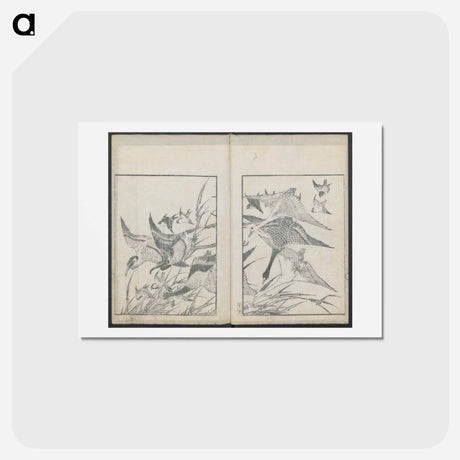 アートポストカード-Examples of hokusai's drawing - 葛飾 北斎 Postcard.