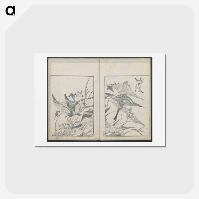 アートポストカード-Examples of hokusai's drawing - 葛飾 北斎 Postcard.
